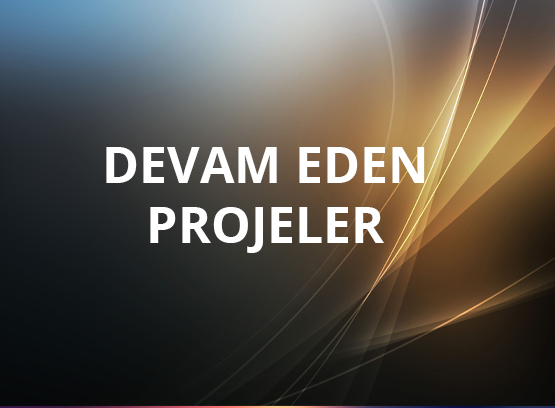 Devam Eden Projeler