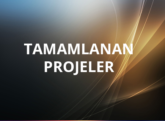 Tamamlanan Projeler